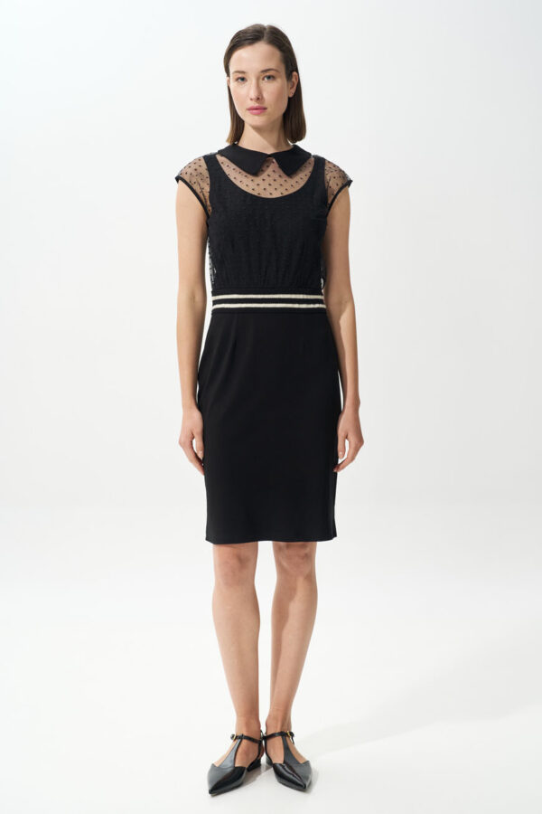 Dress with embroidered tulle